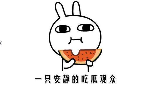 吃瓜事件黑料吃瓜网站,黑料事件背后的真相与争议