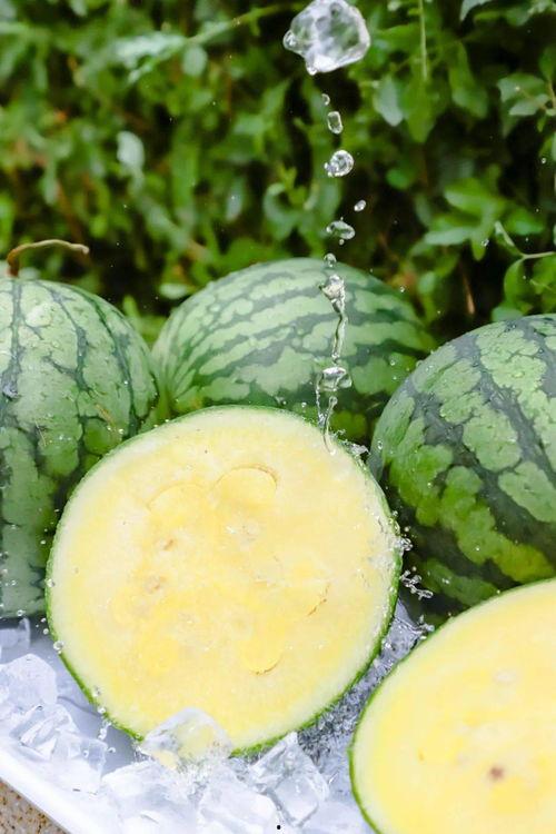 热门大瓜51吃瓜黑料入口,热门大瓜背后的真相与争议