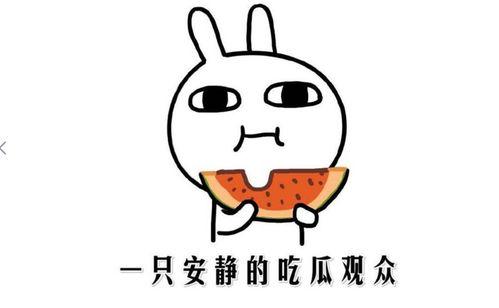 黑料热点事件黑料吃瓜,吃瓜群众如何应对网络舆论风暴