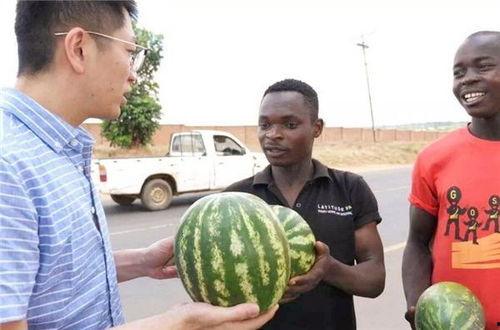 911爆料网吃瓜黑料16岁老师,揭秘911爆料网吃瓜黑料背后的真相